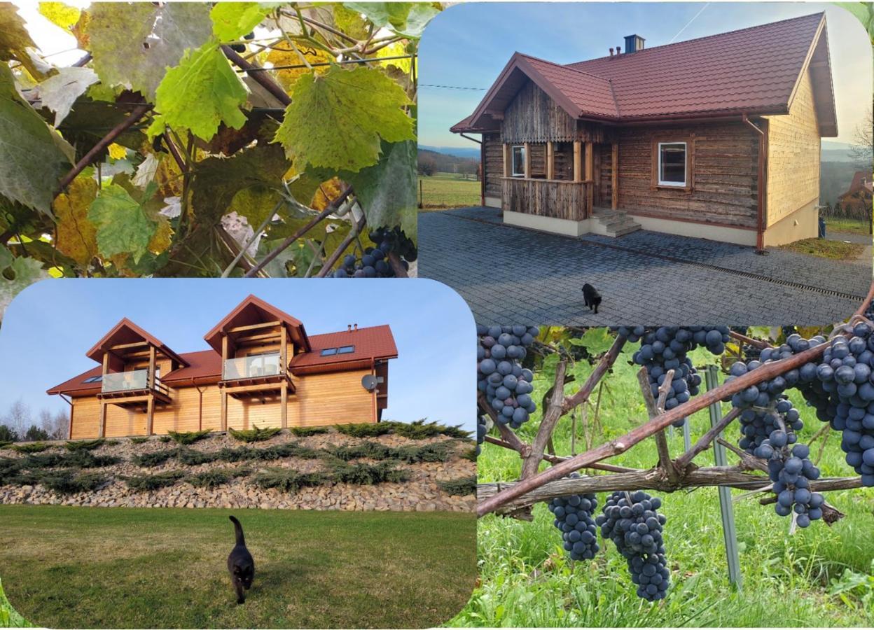 Fantastic View Vineyard Beskid Mountains Gruszow  Zewnętrze zdjęcie