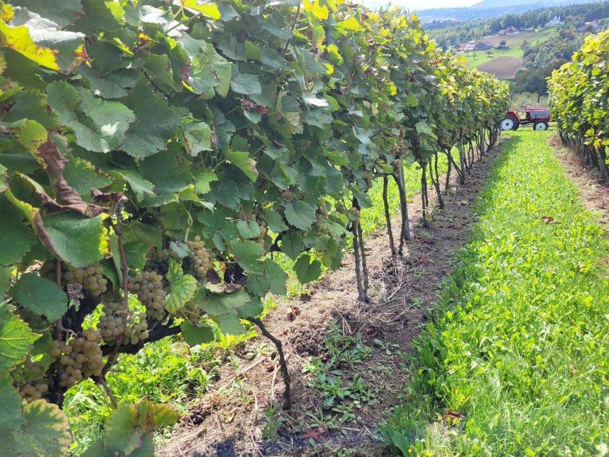 Fantastic View Vineyard Beskid Mountains Gruszow  Zewnętrze zdjęcie