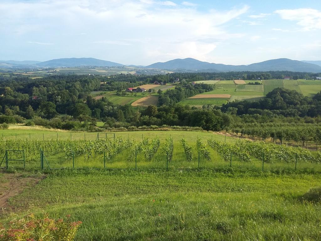 Fantastic View Vineyard Beskid Mountains Gruszow  Zewnętrze zdjęcie