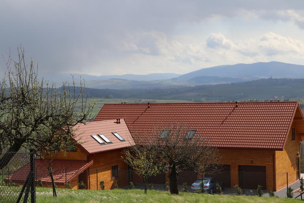 Fantastic View Vineyard Beskid Mountains Gruszow  Zewnętrze zdjęcie